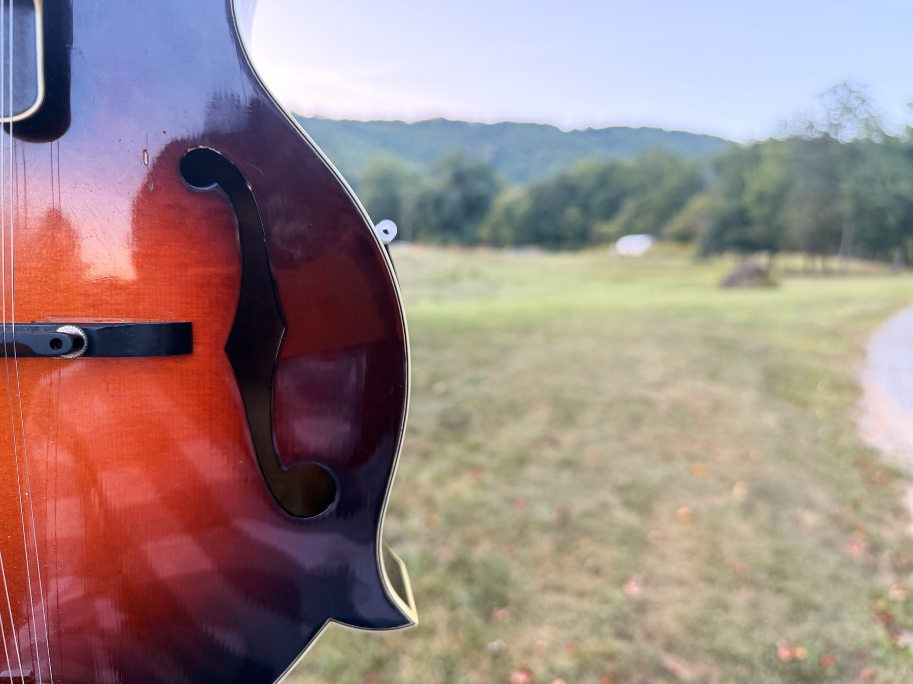 Close view of the Eastman mandolin's sunburst top and f-hole, with a Blue Ridge hillside and a mown field soft in the distance.